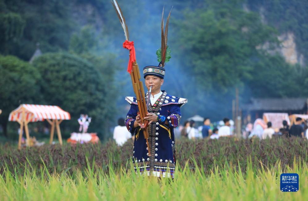 金花免费